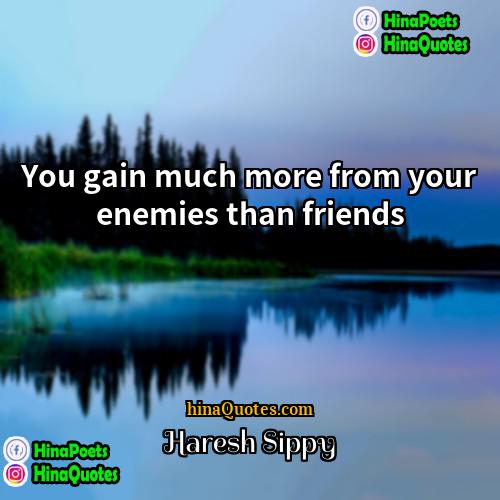 Haresh Sippy Quotes | You gain much more from your enemies